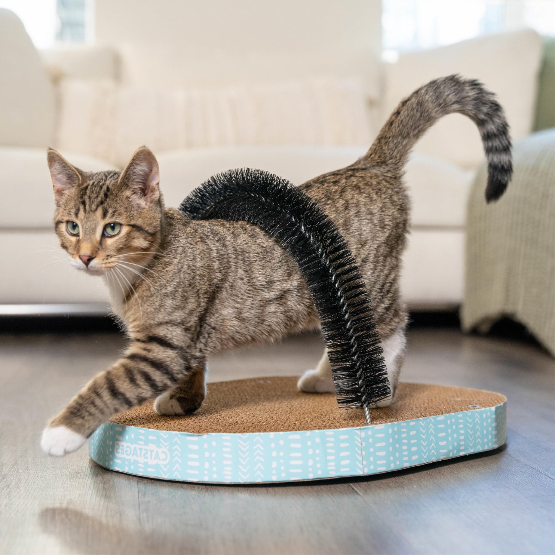 Catstages Scratch Groom Cat Scratcher with Removable Curved Scratcher