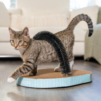 Catstages Scratch Groom Cat Scratcher with Removable Curved Scratcher