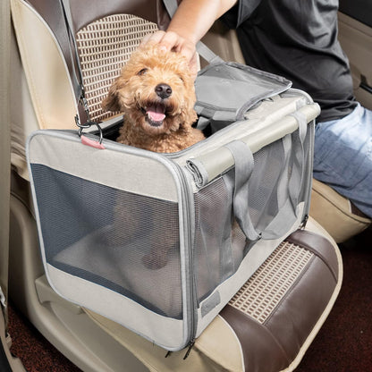 GAPZER Pet Carrier for Large Cat Soft-Sided Animal Traveling Bag