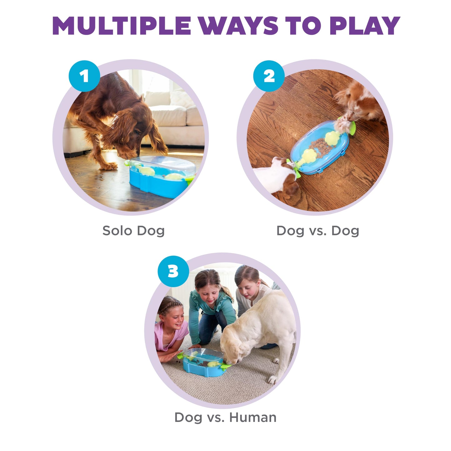 Outward Hound Nina Ottosson Paw N' Play Interactive Dog Treat Puzzle