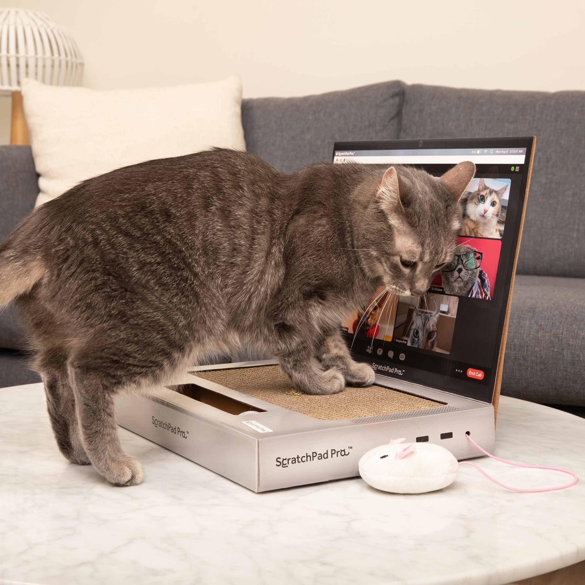 ScratchPad Pro Cardboard Laptop Cat Scratcher, Interactive Scratcher