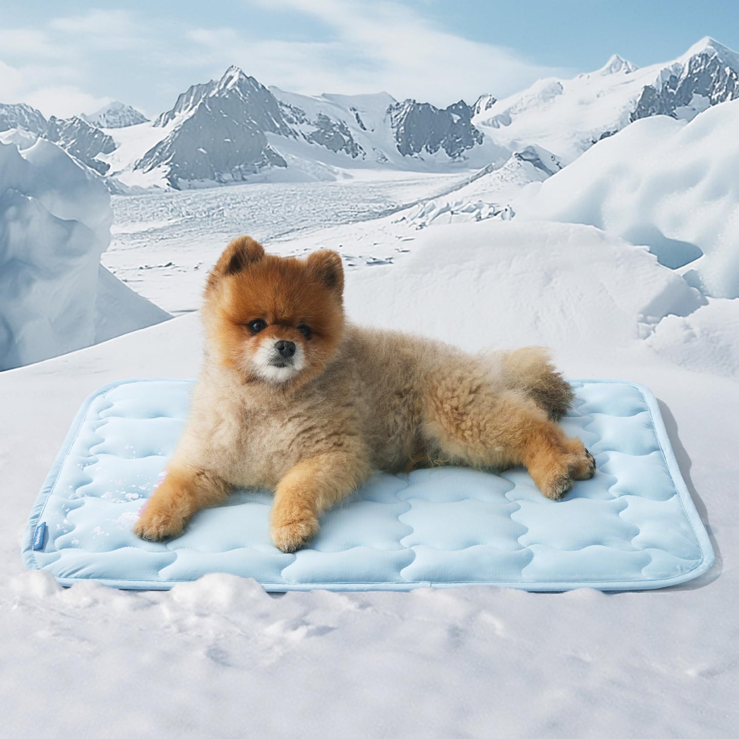 Bedsure Cooling Mat for Small Dog, Q-Max>0.5 Thin Breathable Crate
