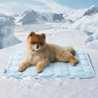 Bedsure Cooling Mat for Small Dog, Q-Max>0.5 Thin Breathable Crate