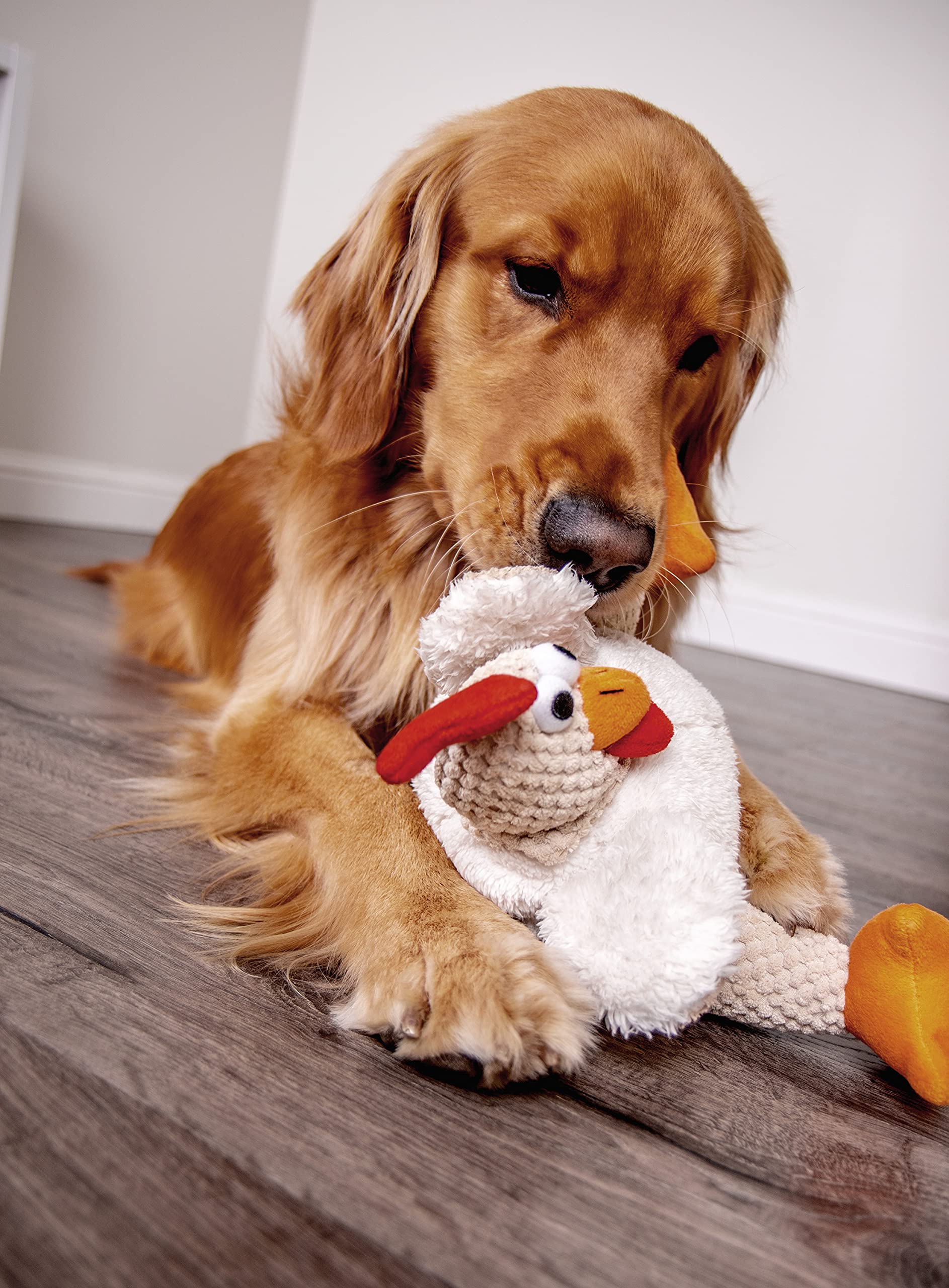 goDog Checkers Fat Rooster Squeaky Plush Dog Toy, Chew Guard Plush