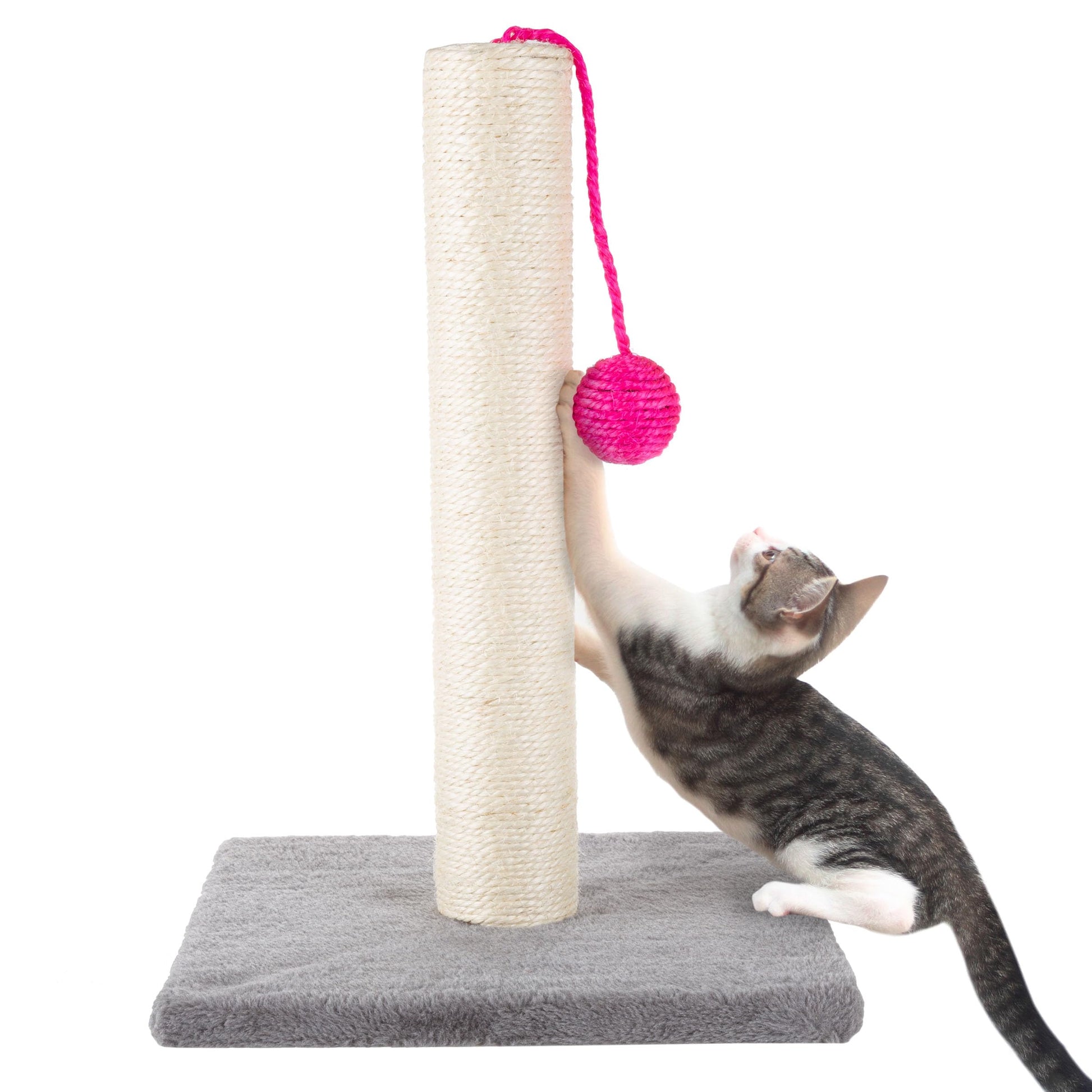 17-Inch Cat Scratching Post Sisal Rope and Carpet Scratching Pole Ball