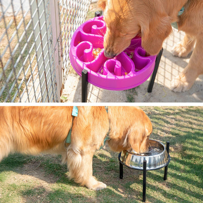 LOOBANI Elevated Dog Bowl Stand: Fits 5.9"-11" Wide Non-Slip Base Bowl
