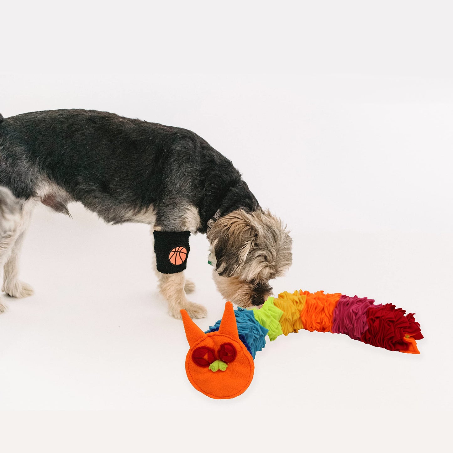 Ablechien Snuffle Ball Rainbow Snuffle Snake Puzzle Toy for Dogs Ball