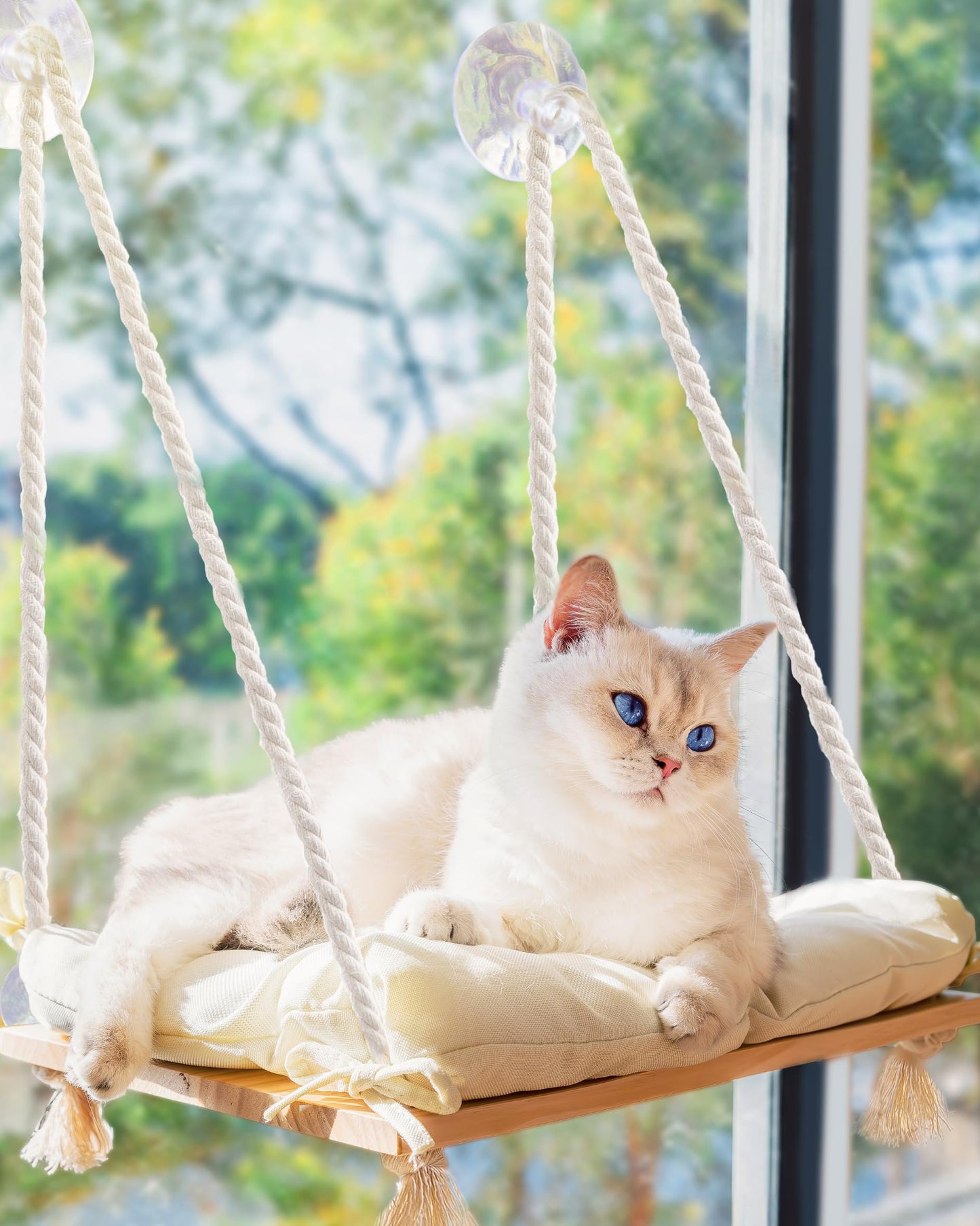 Cat Window Perch with Industrial-Grade Suction Cups Solid Pine Bed