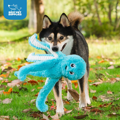 Best Pet Supplies Interactive Squeaky Dog Chew Toy, Ideal Dog Toys
