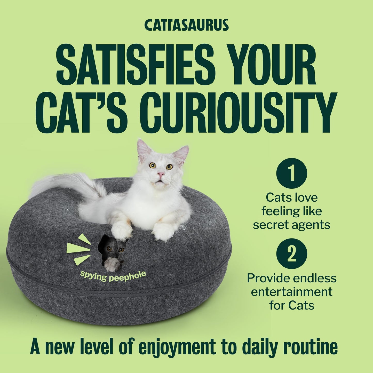 Cattasaurus Peekaboo Cat Cave Duo Jumbo Set, Extra Spacious Cat Bed