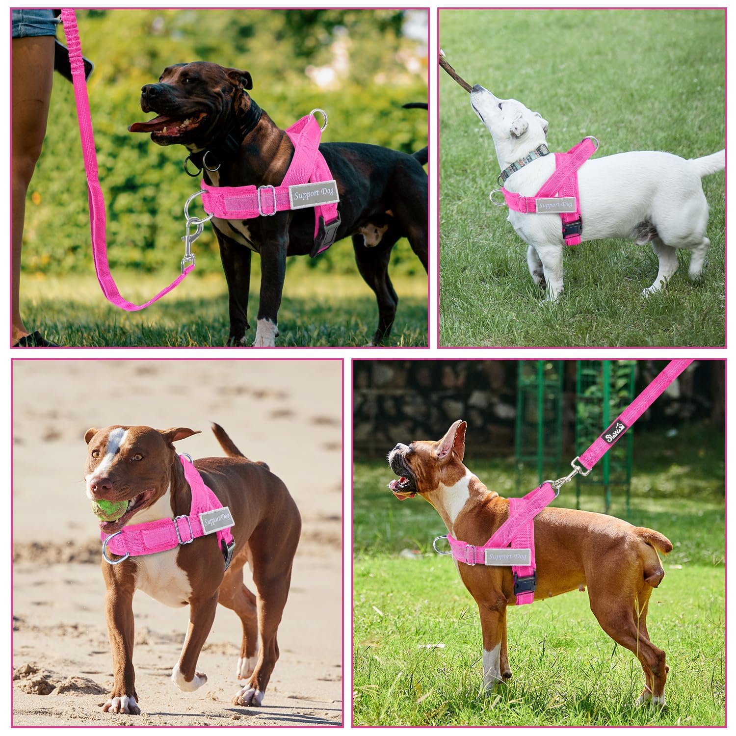 SlowTon No Pull Dog Harness Heavy Duty Dog Harness and Leash Set
