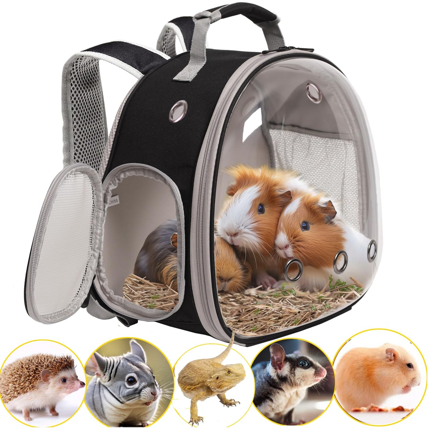 Guinea Pig Backpack Carrier, Bearded Dragon Carrier Backpack