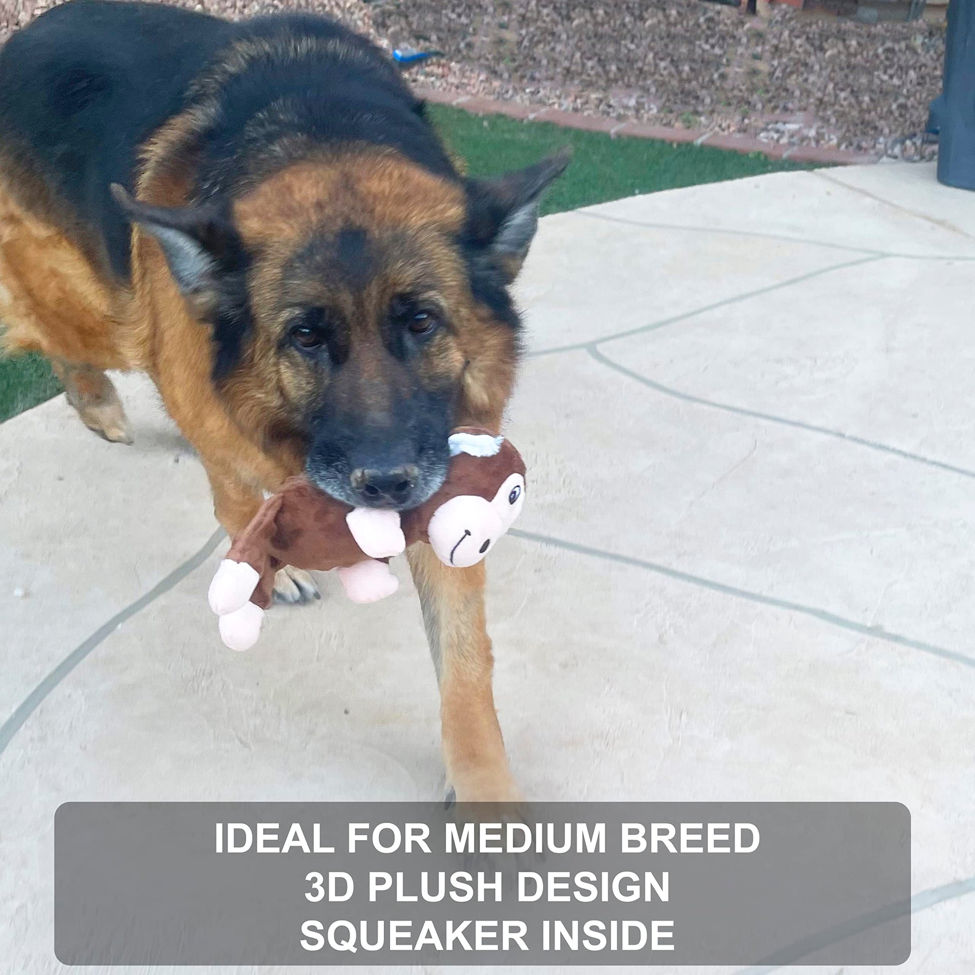 Jalousie Multipack Dog Squeaky Toys Strong Almost Indestructible, Chew