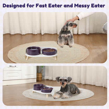 Elevated Slow Feeder Dog Bowls Ceramic Food and Water Bowl Set