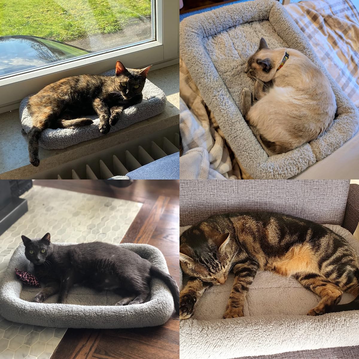 LESYPET Cat Bed for Indoor Cats, Soft Cat Cushion with Cat Pillow Bed