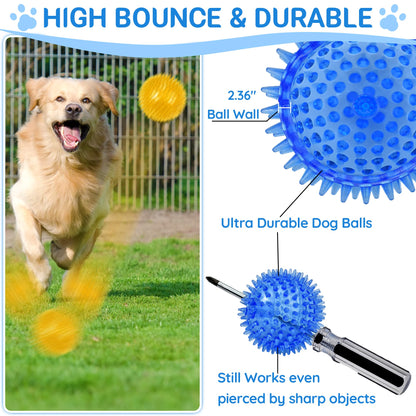 LECHONG 4-Pack Large Squeaky Dog Balls, 4.5" Rubber Spiky Dog Balls