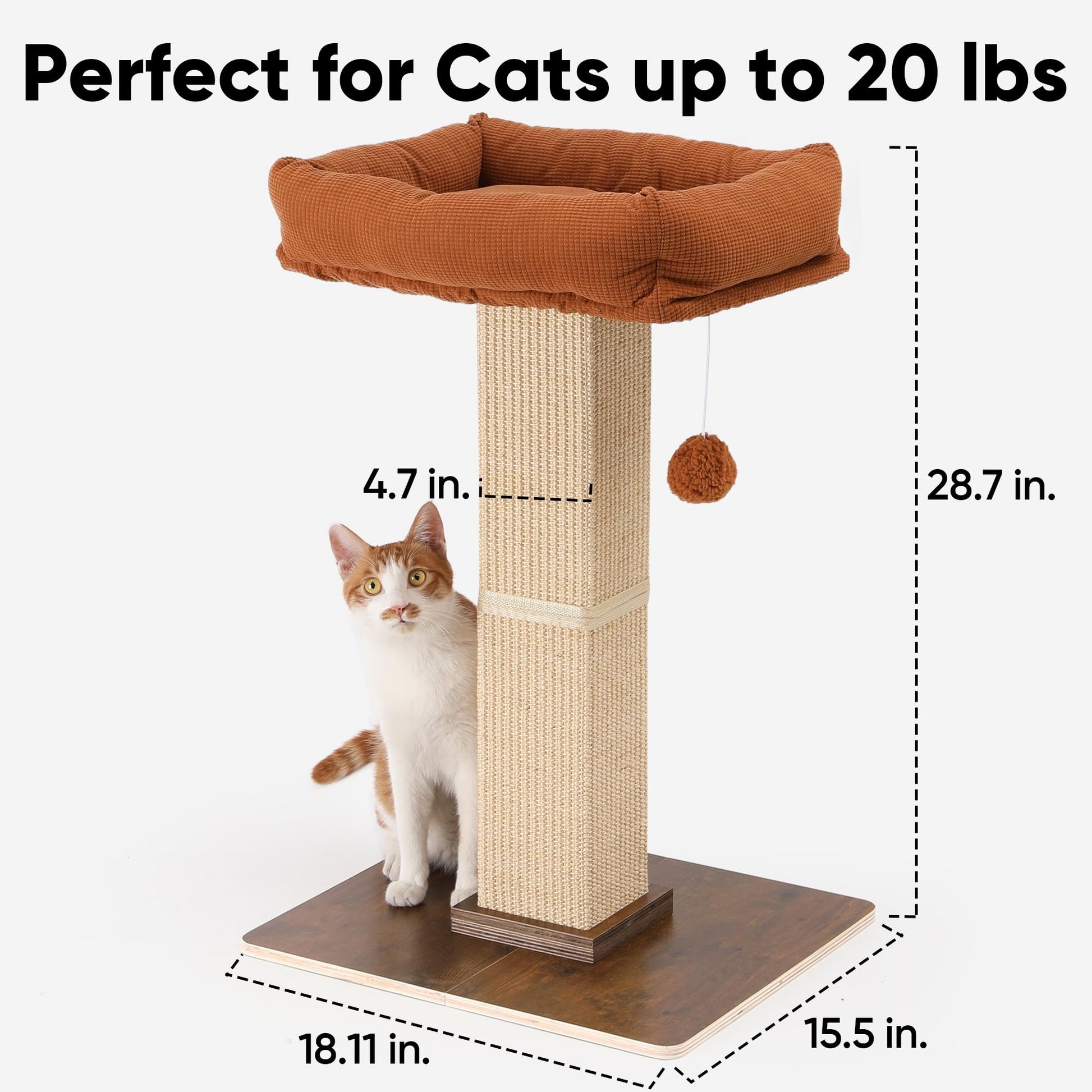 FUKUMARU Cat Scratching Post, Retro-Style Tall Scratch Posts