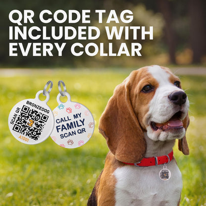 BronzeDog Rolled Leather Dog Collar with QR ID Tag, Adjustable Collar