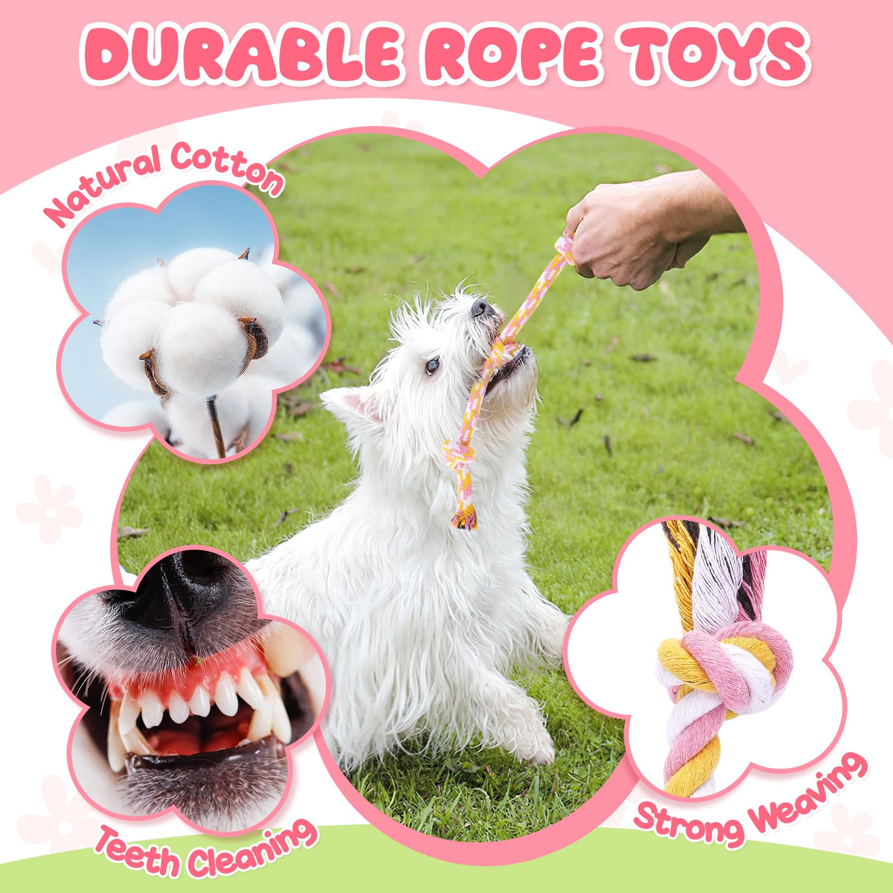 Zeaxuie Puppy Toys for Teething 9 Pack Small Dog Set With Chew