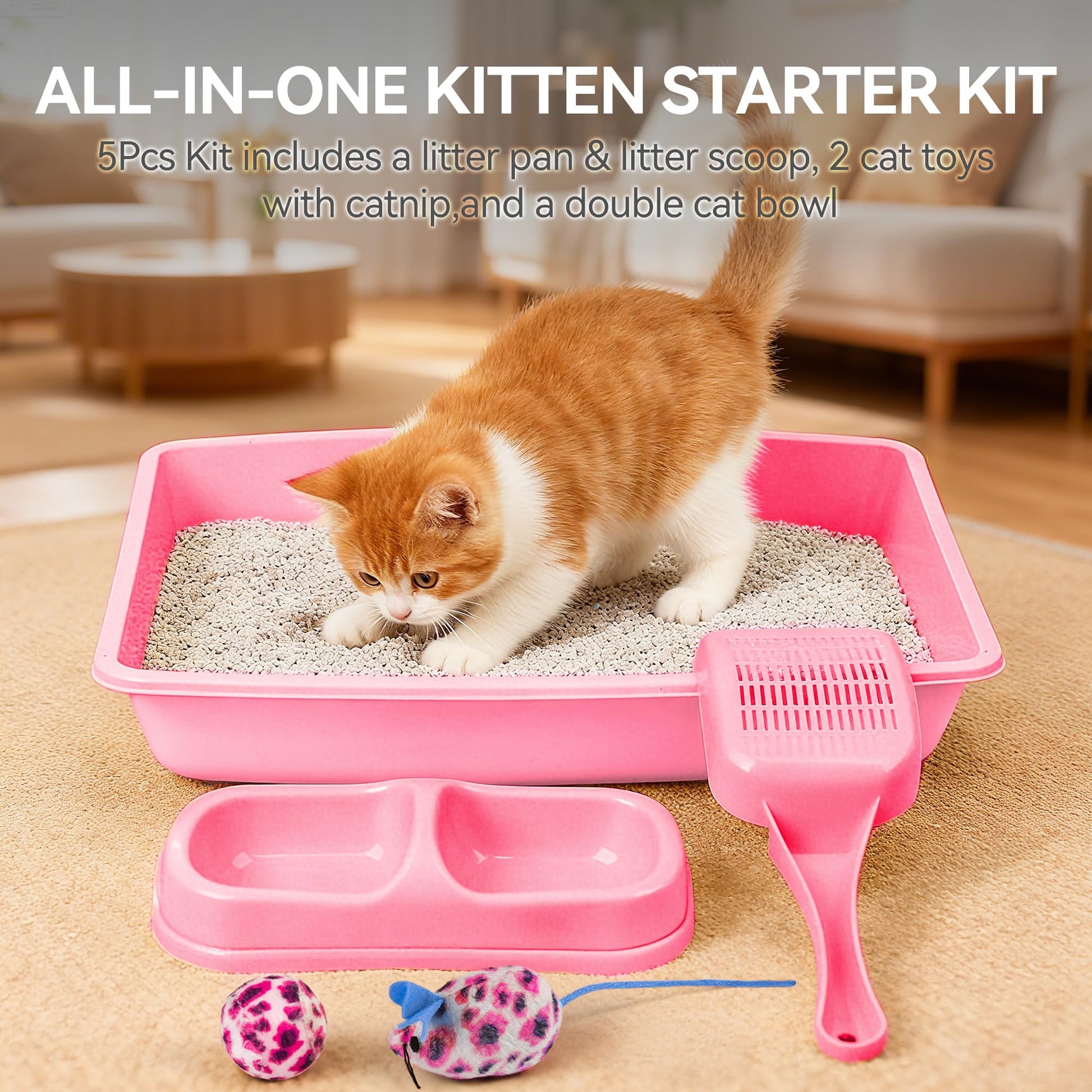 PAWISE Cat Litter Box Set, Small Kitten Starter Kit, Includes Litter