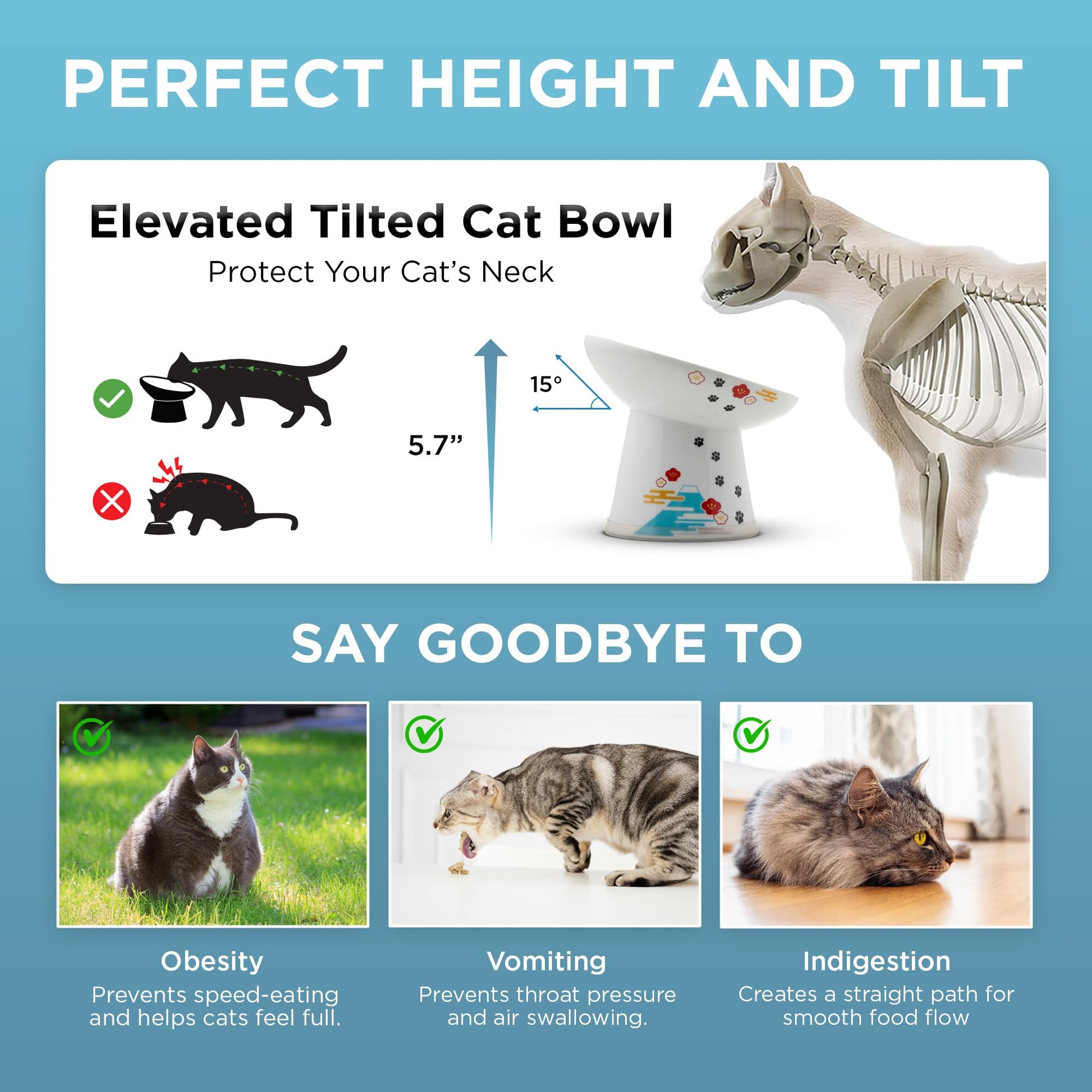Necoichi Raised Cat Food Bowl Ceramic Elevated 15° Tilted cat Bowl