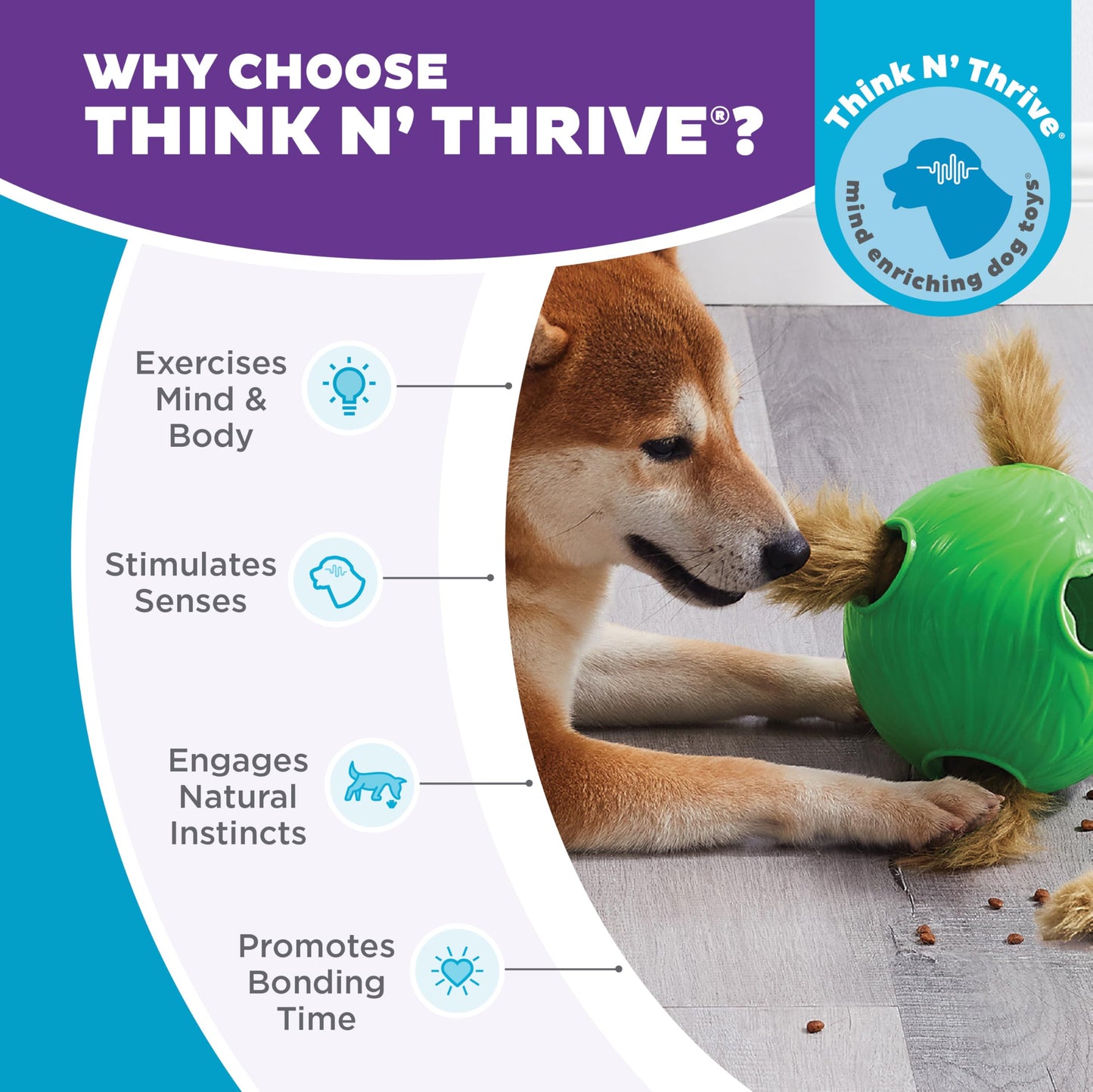 Outward Hound by Nina Ottosson Dog Snuffle N' Treat Ball Puzzle, Ball