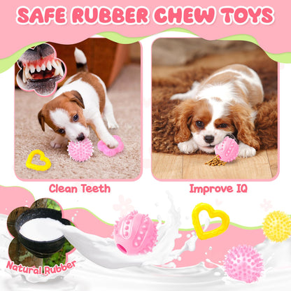 Zeaxuie 23 Pack Puppy Toys for Teething, Small Dog Toys with Cute Chew