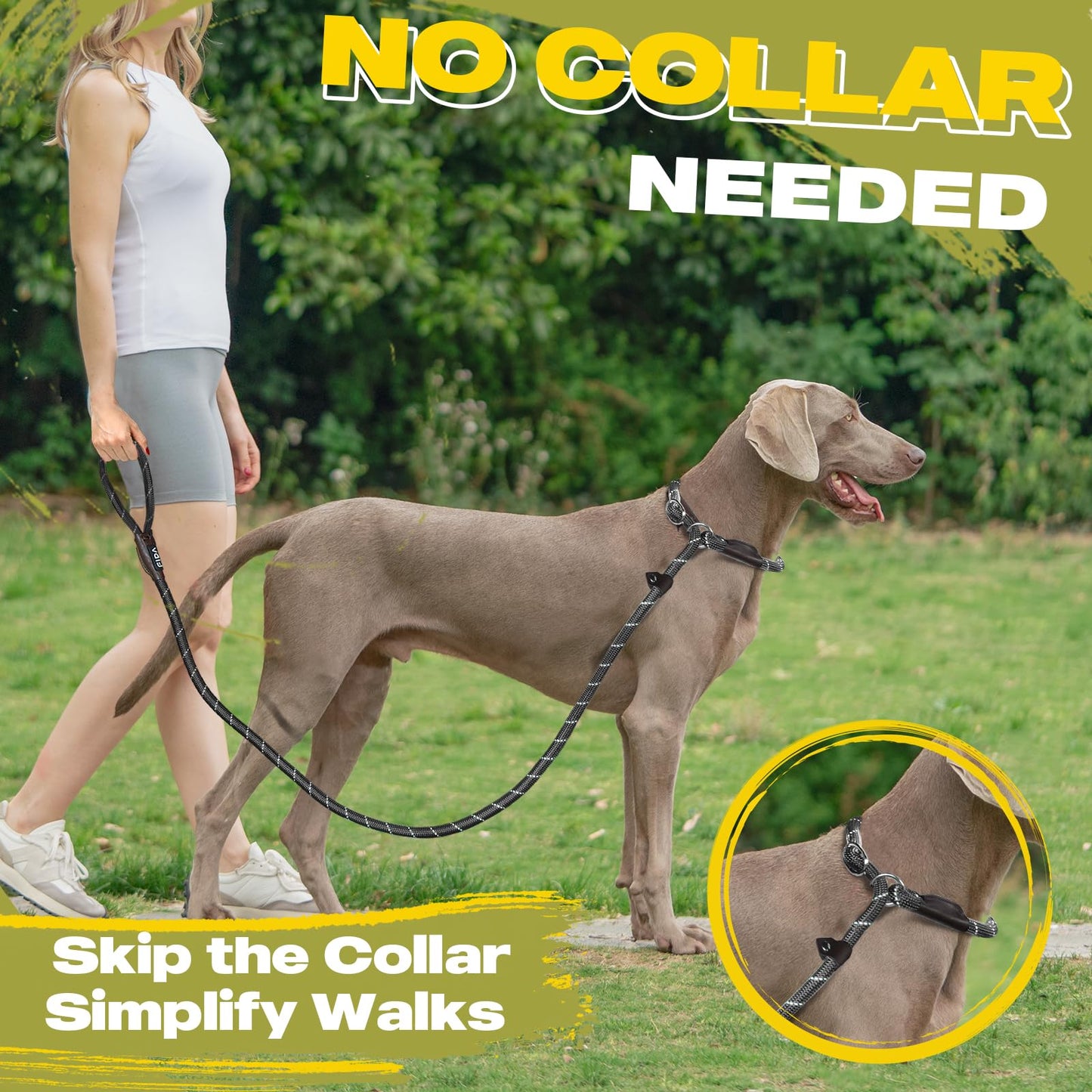Fida Durable Slip Lead Dog Leash Bulk Pack of 5, Heavy Duty 1/2" Lead
