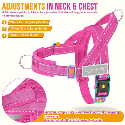 SlowTon No Pull Dog Harness Heavy Duty Dog Harness and Leash Set