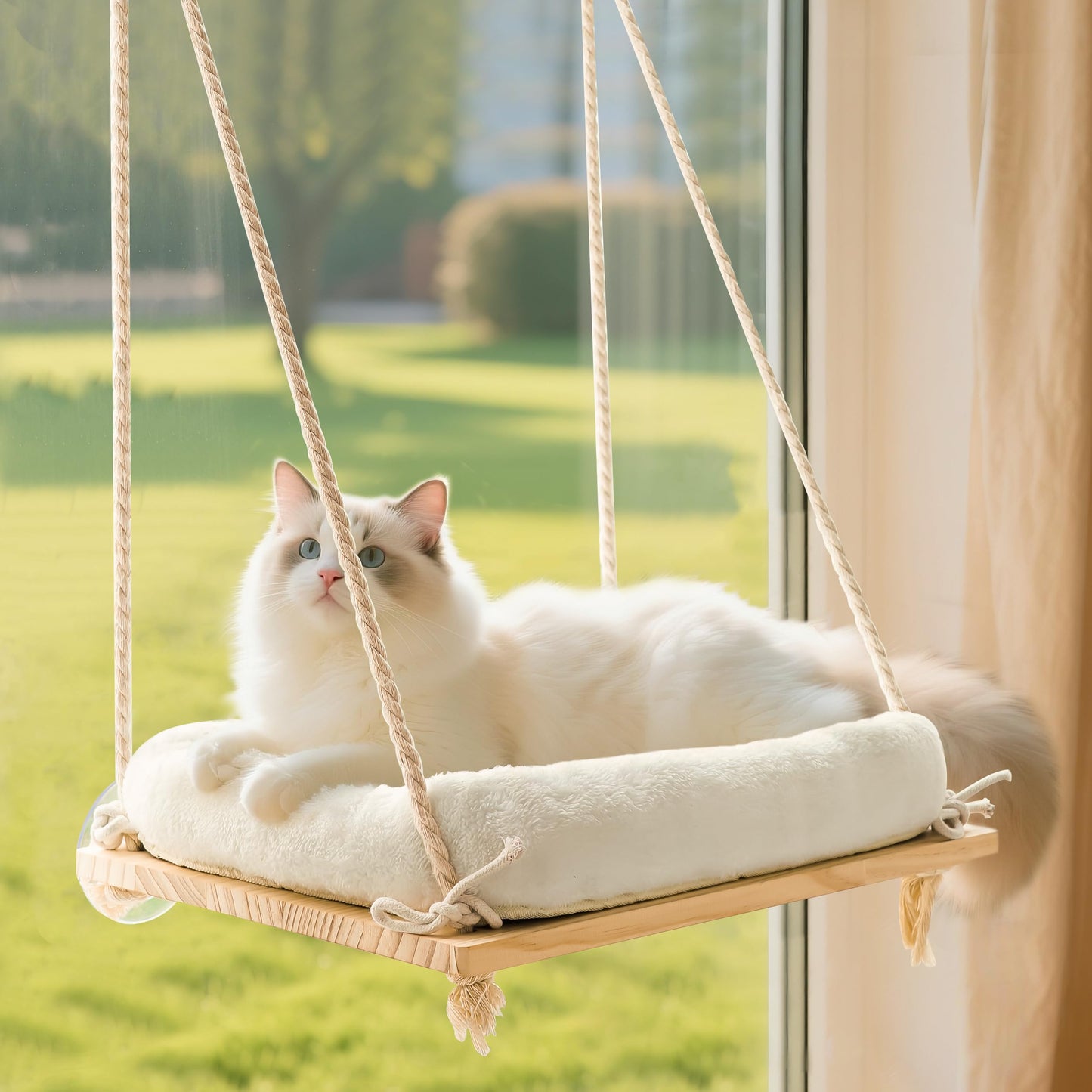 Anywish Cat Window Perch, Cat Hammock Bed with Solid Wood Seat 4 Bed