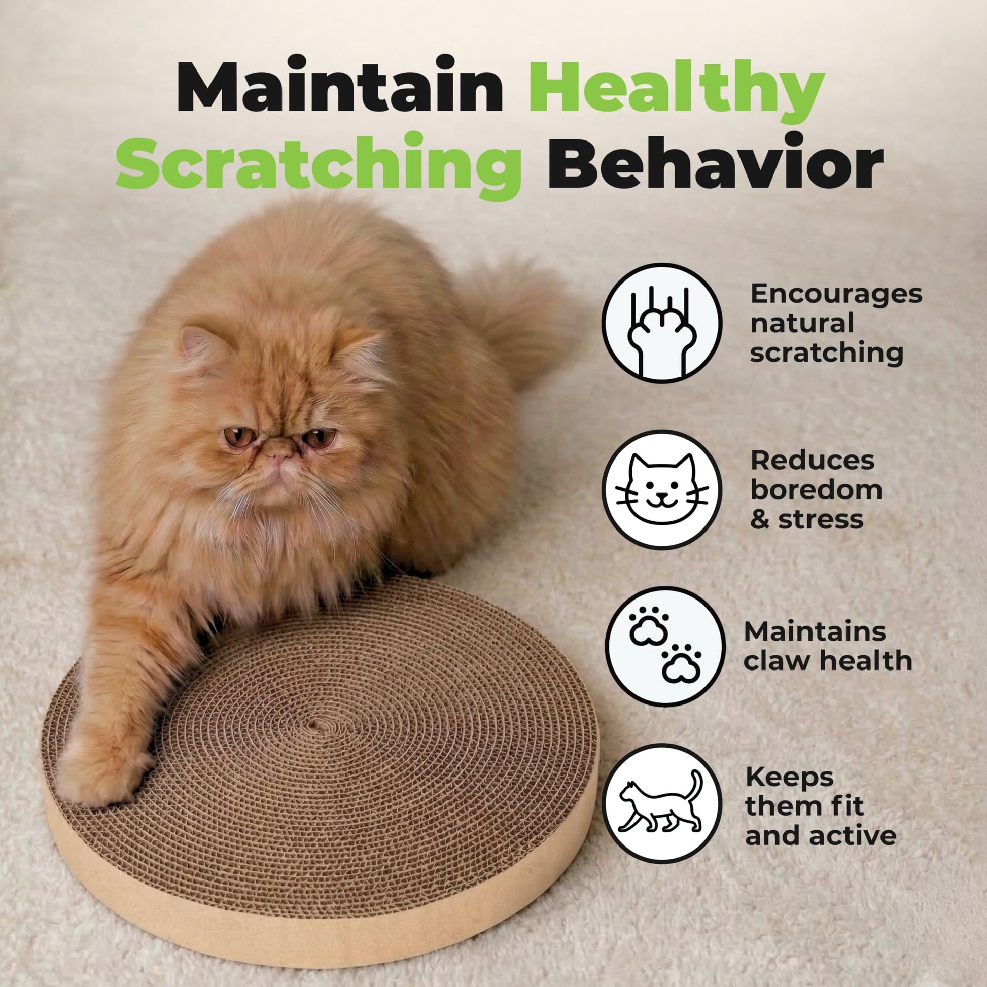 Best Pet Supplies Catify Cat Scratcher, Fun Interactive Scratchers