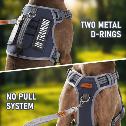 No Pull Dog Harness for Large Dogs with 2 Metal Clips, Easy Harness