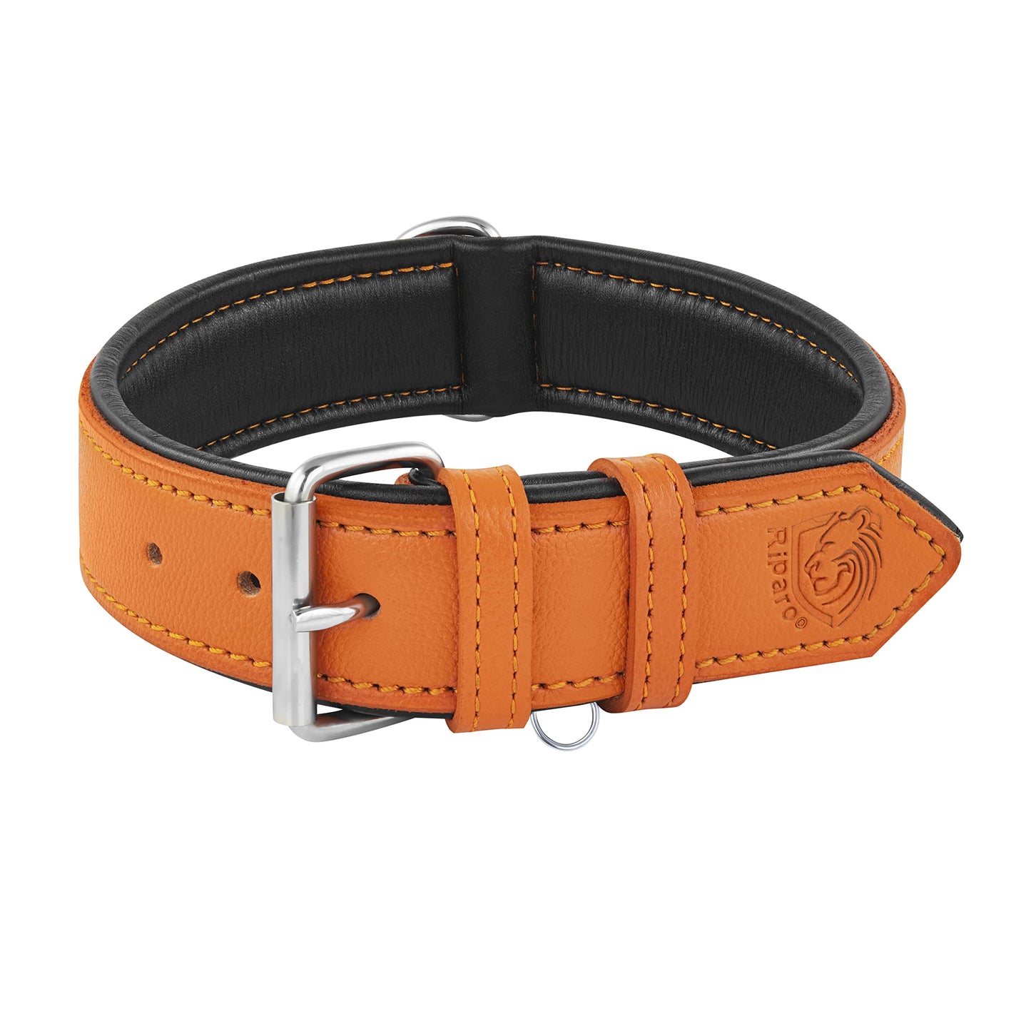 Riparo Dog Collar, Leather Dog Collar with Dog Tag Holder, Collar