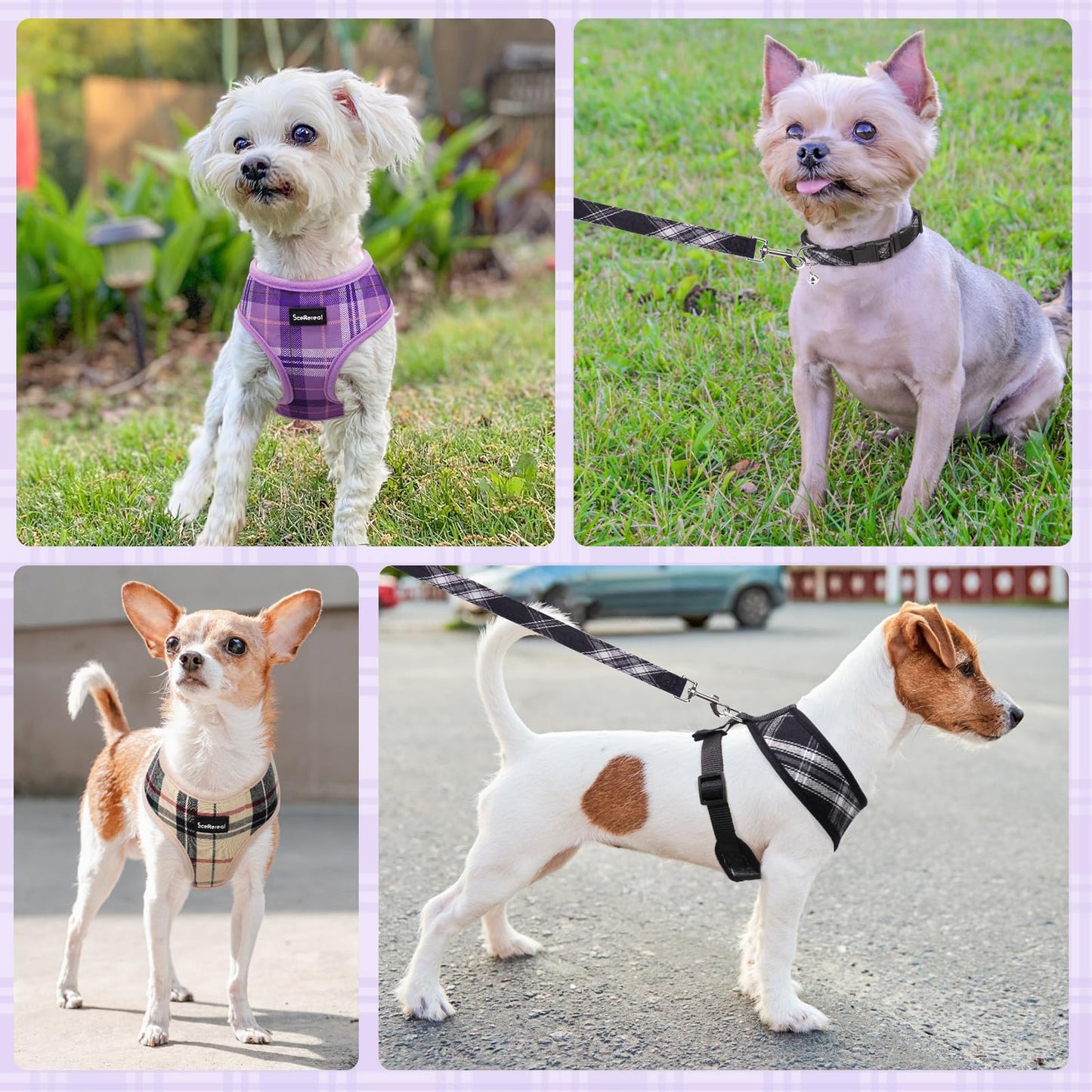 SCENEREAL No Pull Small Dog Harness Collar and Leash Set, Soft Collar