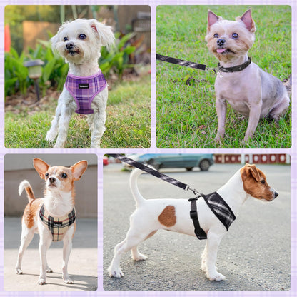 SCENEREAL No Pull Small Dog Harness Collar and Leash Set, Soft Collar