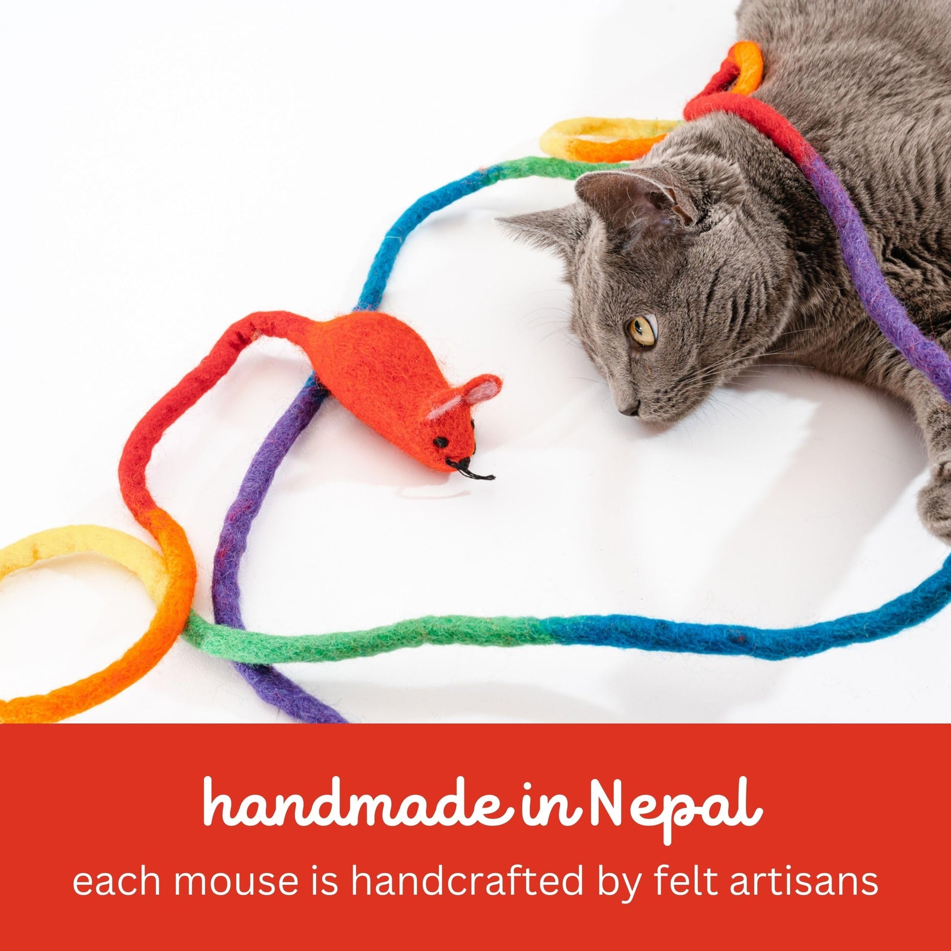 Catch a Mouse Wool Cat Toy with a 6-Ft Tail for Indoor Cats Catnip
