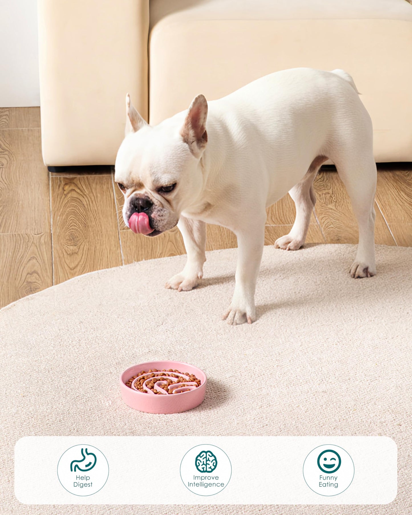 vancasso Slow Feeder Dog Bowl, 0.6 Cup Ceramic Slow Feeding Puzzle