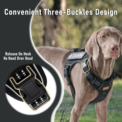 AUNZO Tactical Dog Harness for Large Dogs, for Golden Harness