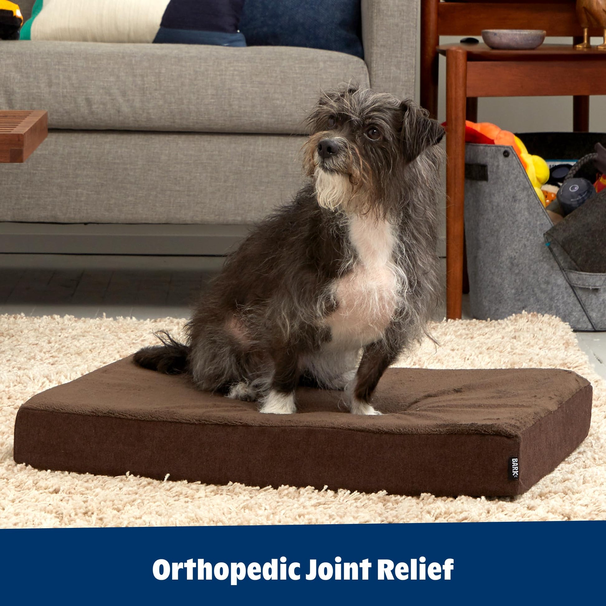 Barkbox Orthopedic Dog Bed, Comfortable Memory Foam Mattress for Bed