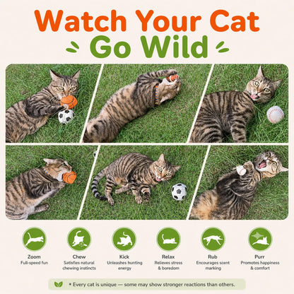 Agape Catnip Silvervine Filled Cat Toys, Interactive Chew Kicker Balls