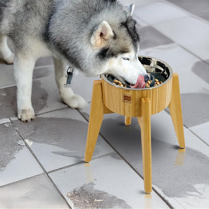 Elevated Slow Feeder Dog Bowls Large Breed (12-inch-high) Raised Bowl