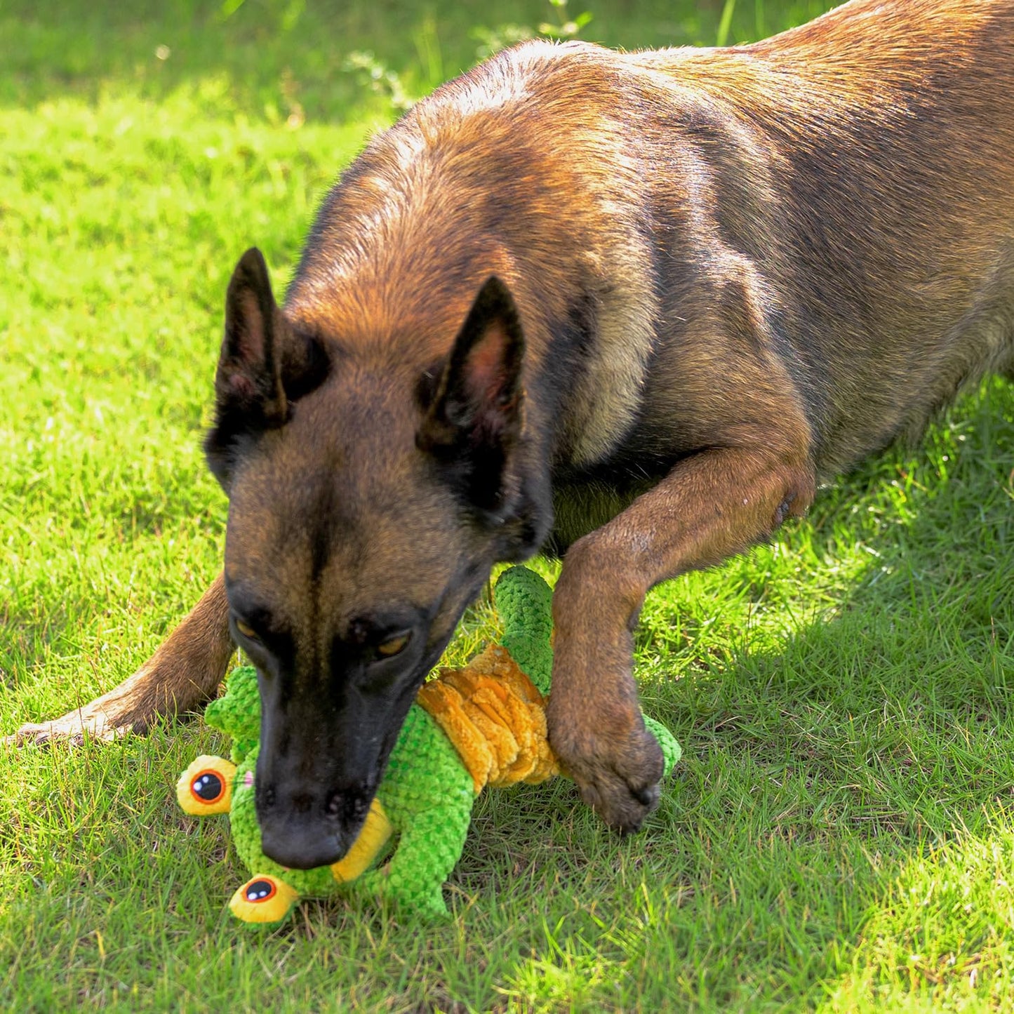 Sedioso Dog Tug Toy, Durable Dog Toys Large Breed, Tug of War Plush