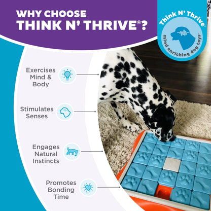 Outward Hound by Nina Ottosson Challenge Slider Interactive Dog Toy