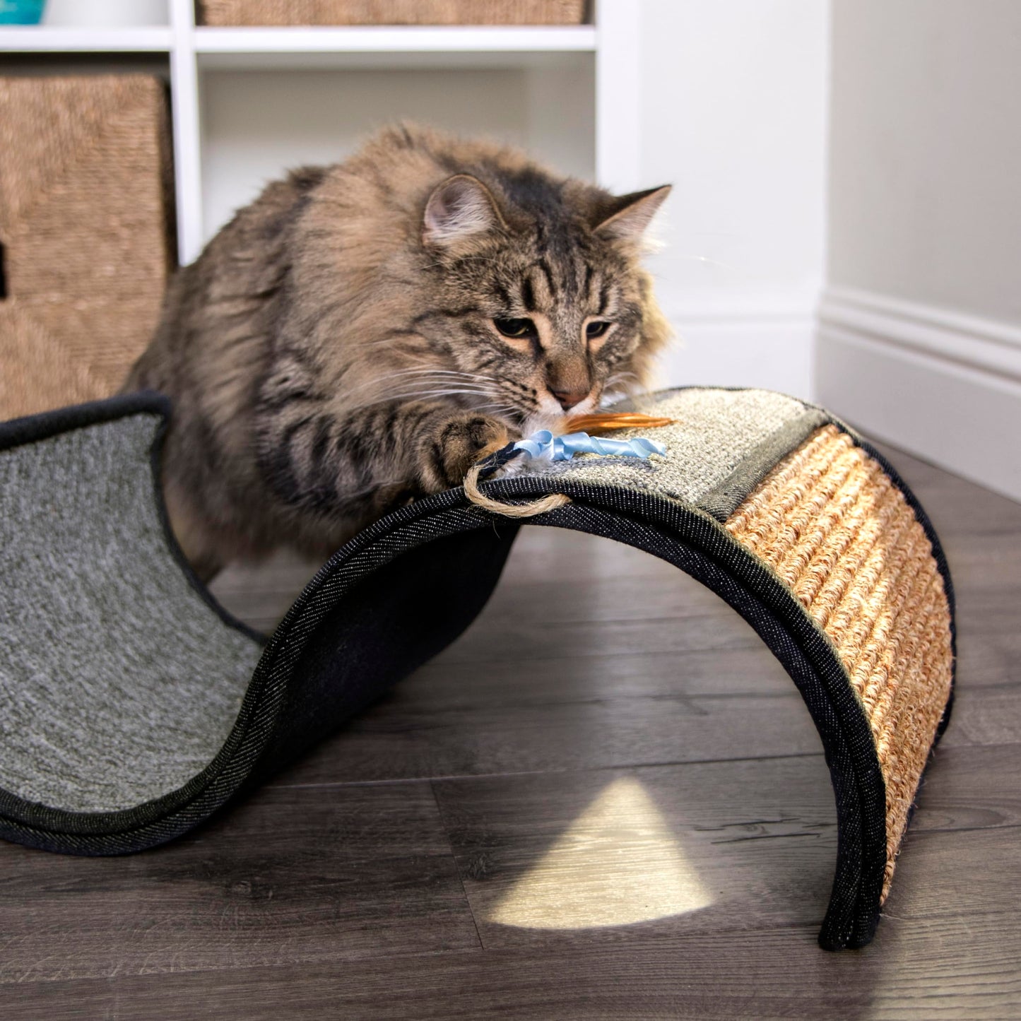 Petlinks Dream Curl Carpet Cat Scratcher, Dual-Surface Cat Scratchers