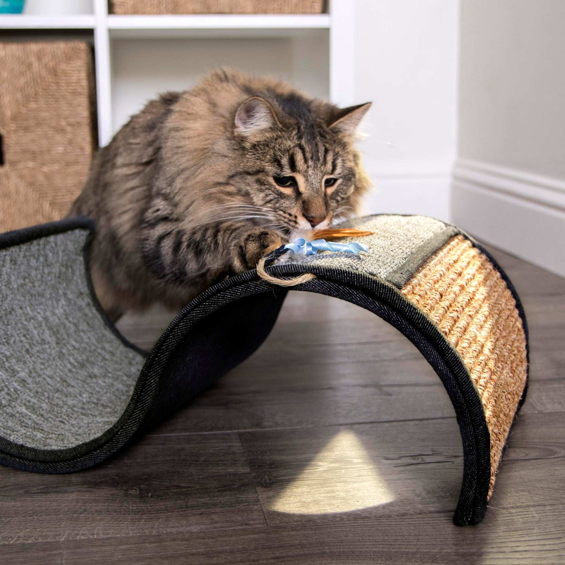 Petlinks Dream Curl Carpet Cat Scratcher, Dual-Surface Cat Scratchers