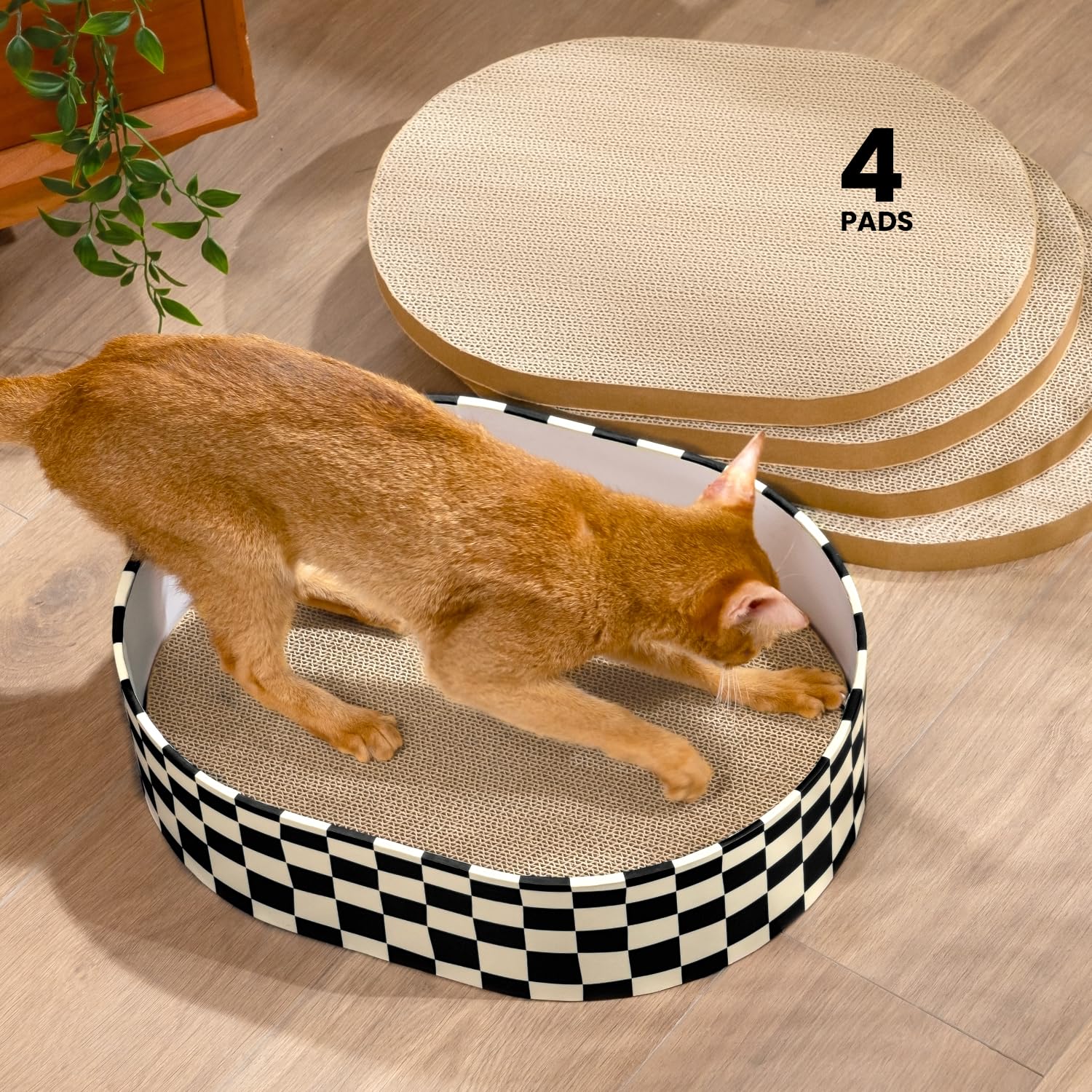 Conlun Cat Scratcher Box with 4 Cat Scratching Board Scratchers