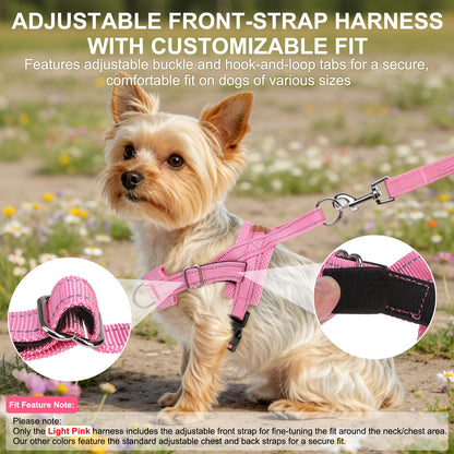 BEAUTYZOO Dog Harness Small Sized Dogs,2.0 Upgraded No Pull Leash