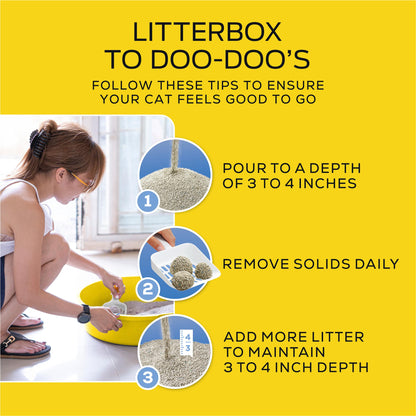 Purina Tidy Cats LightWeight 4-In-1 Strength Multi-Cat, Odor Box