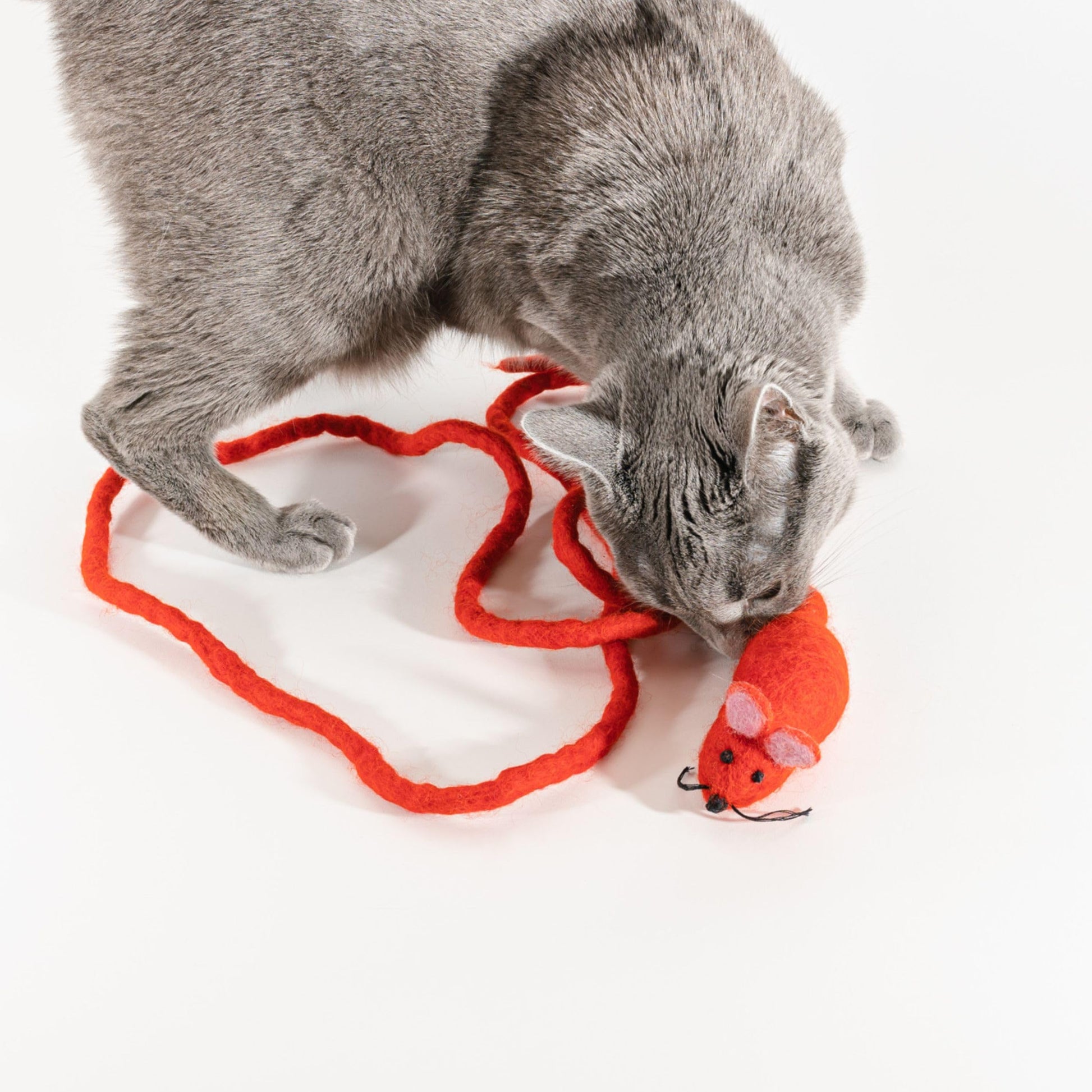 Catch a Mouse by The Tail Wool Cat Mouse Toy with a 6-Foot Tail Catnip
