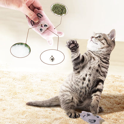 Pai Sence Cat Toys for Indoor Cats Kittens Interactive Pillow Catnip